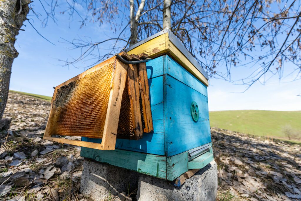 Beehives in einem Feld mit Bäumen, Hives.