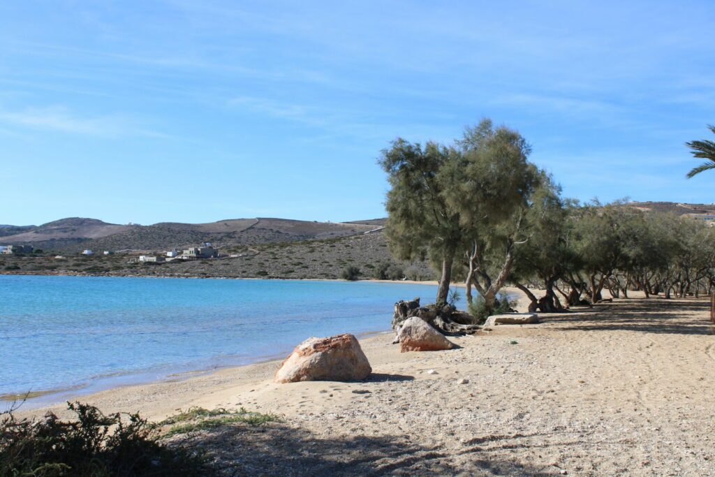 Fanari Beach Antiparos mit Bäumen