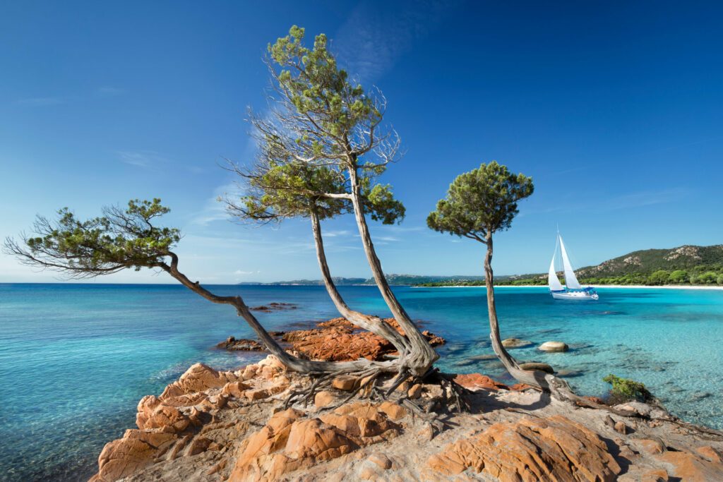 Strand von Palombaggia Korsika Frankreich