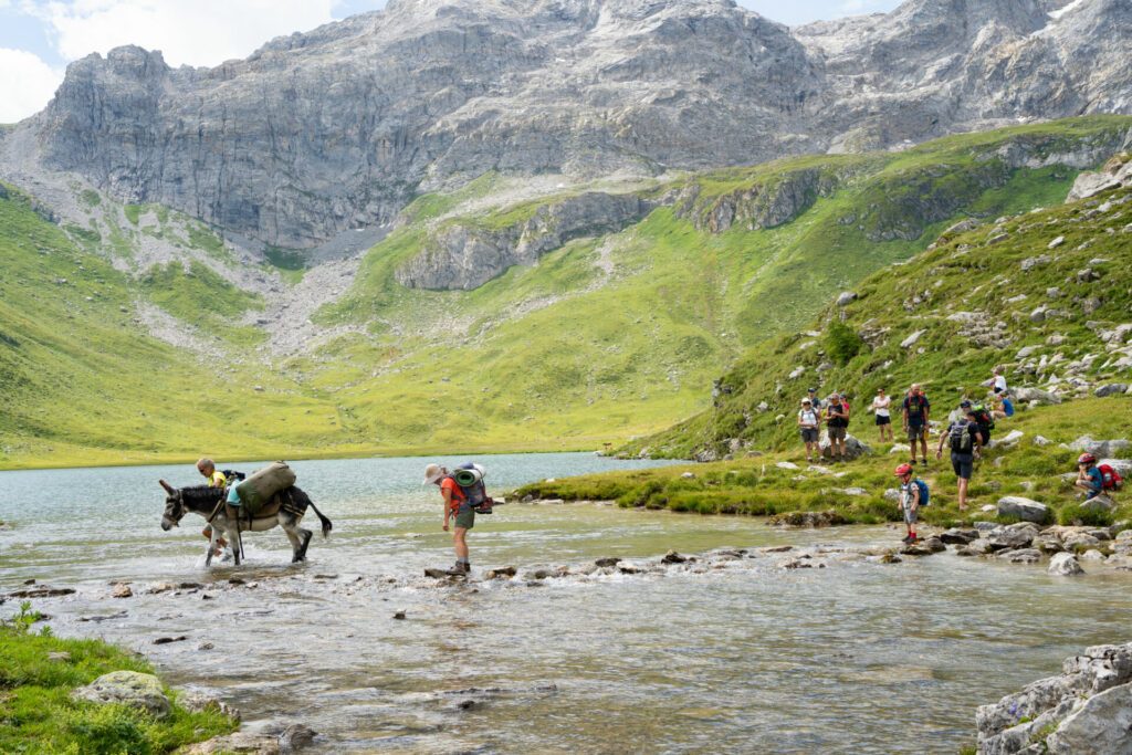 Überquerung des Sees von La Plagne mit Eseln , Parc de la Vanoise, Alpen, Frankreich