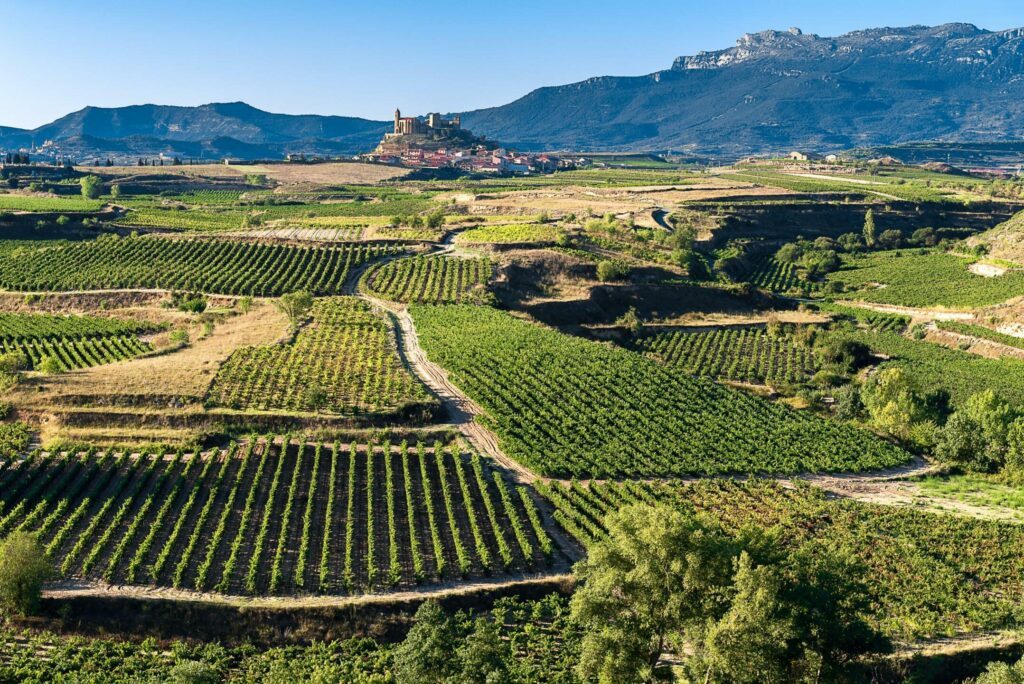 Die Weinberge der Rioja